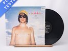Sebadoh Sebadoh Vs Helmet 12