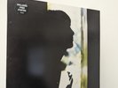Paul Weller - Wild Wood Used Cut on Outside Cover See pics