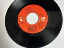 SOUNDGARDEN Black Hole Sun / Spoonman 45 Vinyl Record