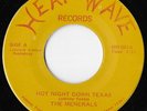 The Menerals Hot Night Down Texas Rare Acid Psych Garage Rock Heat Wave 45