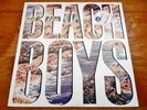 The Beach Boys S/T Album  1985 Caribou Records Gold Stamp Promo Vinyl LP NM