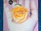 MADONNA SEALED BEDTIME STORY 12'' VINYL LP MAXI MAVERICK US 1995 Promo Hype