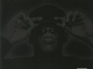 JAY Z - The Black Album - Vinyl (gatefold 2xLP)