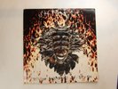 Shpongle:  Divine Moments Of Truth  2000  Goa/Psy Trance 12