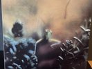 STEELY DAN ‎– Katy Lied 1978 MFSL 1-1007 Audiophile Pressing Limited Edition