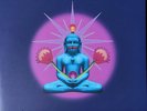The Orb - Buddhist Hipsters (2xLP) (Mint (M)) - Mint (M)