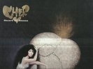 CHER heart of stone VINYL LP RECORD GEFFEN WX 262 uk 1989 inner RARE SLEEVE mint