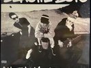 Beastie Boys – Check Your Head - USED Vinyl 2LP 180g