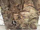 DAVE MASON ALONE TOGETHER LP (1970) ORIG MARBLE SPLATTER COLOR VINYL BLUE THUMB