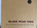 Black Pear Tree The Mountain Goats & Kaki King 2008 EP NM/NM