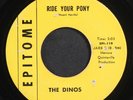 DINOS: ride your pony / a love as sweet as yours EPITOME 7