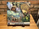 TYRANNOSAURUS REX (T. REX) My People Were Fair Album LP Regal Zonophone 1968 1st