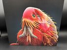 Oh Sees Clearly Invisible 1st Press Clear Vinyl LP New