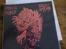 HATRED SURGE Insect Warfare 7