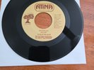 LYNYRD SKYNYRD: need all my friends / michelle ATINA 7