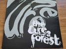 RARE The Cure A Forest 12