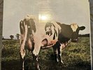 Pink Floyd MFSL 1-202 - Atom Heart Mother - NM - #3290