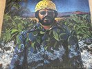 Lonnie Liston Smith/The Cosmic Echoes LP Visions Of A New World GATEFOLD