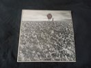Crass Feeding of The 5000 12 Vinyl Album Original First Pressing