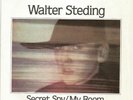 Walter Steding - Secret Spy / My Room, 7