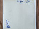 VINYL RECORD / BABYSHAMBLES - DOWN IN ALBION / BLUE LP - ART DELUXE EDITION