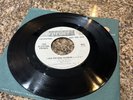 The Electric Prunes  Too Much to Dream REPRISE WLP PROMO 45
