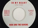 Rico & The Ravens 