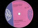 NORTHERN SOUL CLASSIC ️ Ivories   Please Stay ️ Vinyl 7