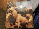 Interpol - Our Love To Admire Vinyl 2x LP (2020 Reissue)
