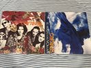 Caifanes El Nervio Del Volcan, El Diablito Picture Disc 2016 vinyl Mexico NM