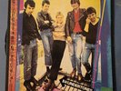 The Undertones Self Titled 1979 Sire Records USA Vinyl LP Winchester Pressing