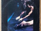 Siouxsie & The Banshees THE SCREAM (1979) Punk New Wave Vinyl LP Polydor PRC