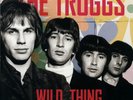 The Troggs – Wild Thing The Greatest Hits LP 12