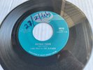 Rare 1966 Canada Rock 45 *Link Wray & The Raymen* Batman Theme  Reo