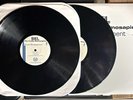Del The Funky Homosapien Future Development 2xLP vinyl 2002 Hiero Imperium