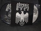 ABYSSIC HATE A Decade Of Hate PICTURE 2LP Absurd Veil Goatmoon  Vothana Ohtar