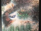 Pink Floyd a Saucerful of Secrets Vinyl LP