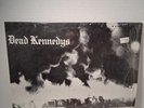 Dead Kennedys  Fresh Fruit For Rotting Vegetables Vinyl Lp Record Italy 1981 Ex