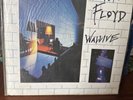 Pink Floyd the Wall Live westfalenhalle 2/29/81