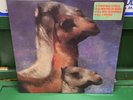 The Roches We Three Kings Rare Christmas Vinyl LP 1990 Gold Stamped Promo