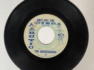 THE AMBASSADORS Ain't Got The Love Of One Girl Vinyl 7