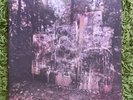 La Dispute Wildlife Vinyl Yellow and Clear vinyl in GREAT CONDITION