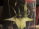 Psychic TV Dreams Less Sweet LP Vinyl 12