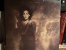This Mortal Coil It'll End In Tears 12