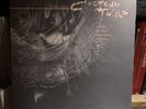 Cocteau Twins Treasure 4AD LP Vinyl Record 12