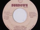 Modern Soul Boogie 45 FREEDOM FORCE What I Feel SUNDOWN HEAR h