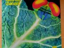 Catapilla Changes Vinyl Vertigo Original 1972 sehr guter Zustand N/M