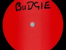 Budgie Deliver Us From Evil LP vinyl UK Rca 1982 1-sided red label test pressing