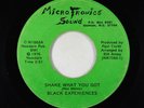 Funk Disco/Sweet Soul 45 - Black Experiences - Shake What You Got - Microtronics