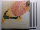 JOEY NEGRO DISCO SPECTRUM 2 BBE LP 027 FUNK BOOGIE TRIPLE INNERS
